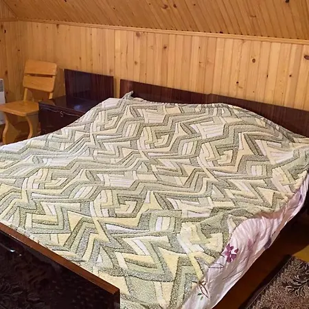 Apartment над греблею Kossiw