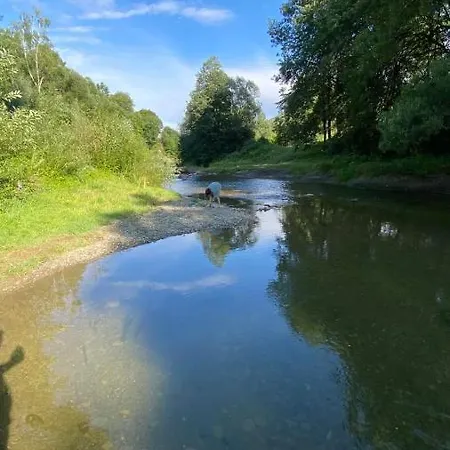 над греблею