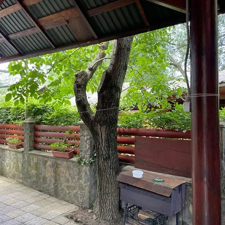 Apartment над греблею Kossiw