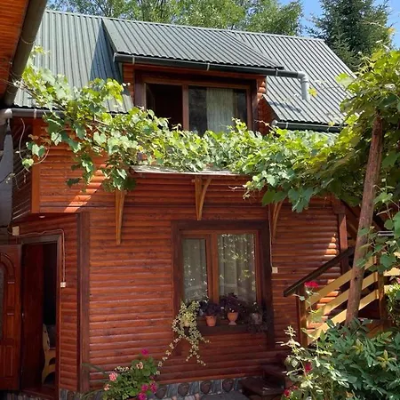 над греблею Kossiw