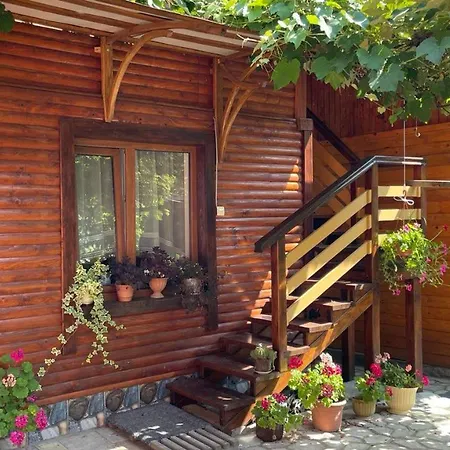 над греблею Apartment *