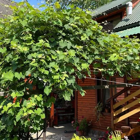 над греблею